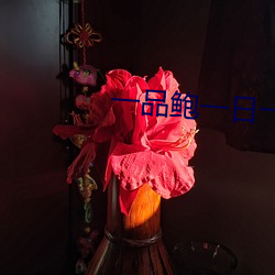 一品鲍一日一品在线下载