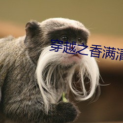 穿(穿)越之香满清宫