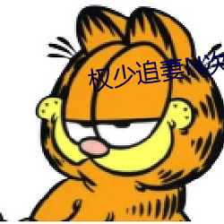 权少追(追)妻N次方
