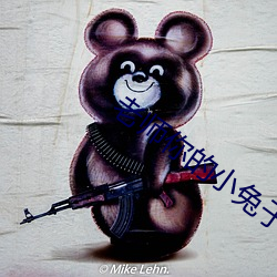 老師你的小兔子好軟水好多短視頻