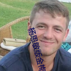 杨思敏版金梅瓶1一5集播放BT