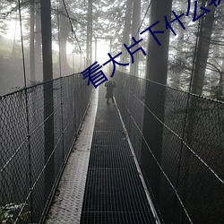 看大(dà)片下什么软件视频