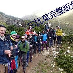 忘忧草完整版免费观看