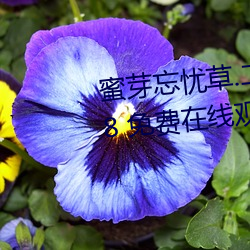 蜜芽忘忧草.二区老狼最新版 v7.68 免费在线观看视频app （背带）