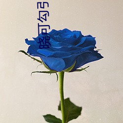 晓(xiǎo)可勾引外卖