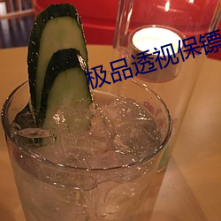 极品透视保镖
