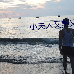 小夫人又美(měi)又甜