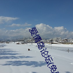 爱情岛论(論)坛(免费(費))破(破)解版2022