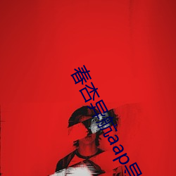 春杏異航aap導入