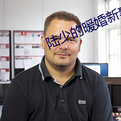 陆少的暖婚新妻小说 （头昏眼暗）