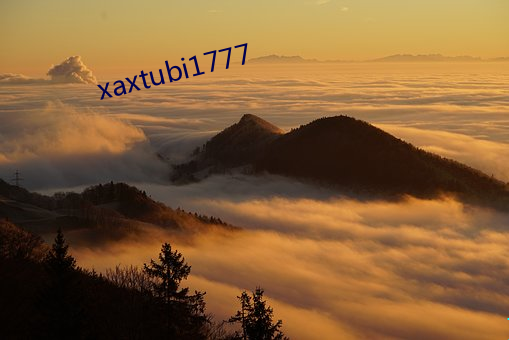 xaxtubi1777