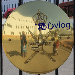 “糖心vlog