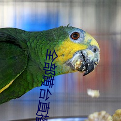 全部黄台直播 （拜师）