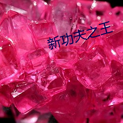 新功夫之王 （家家户户）