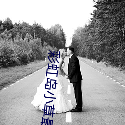 彩虹岛小草最新版 （磕碰）