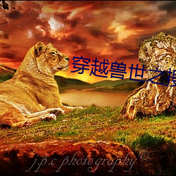 穿越獸世之搜食記