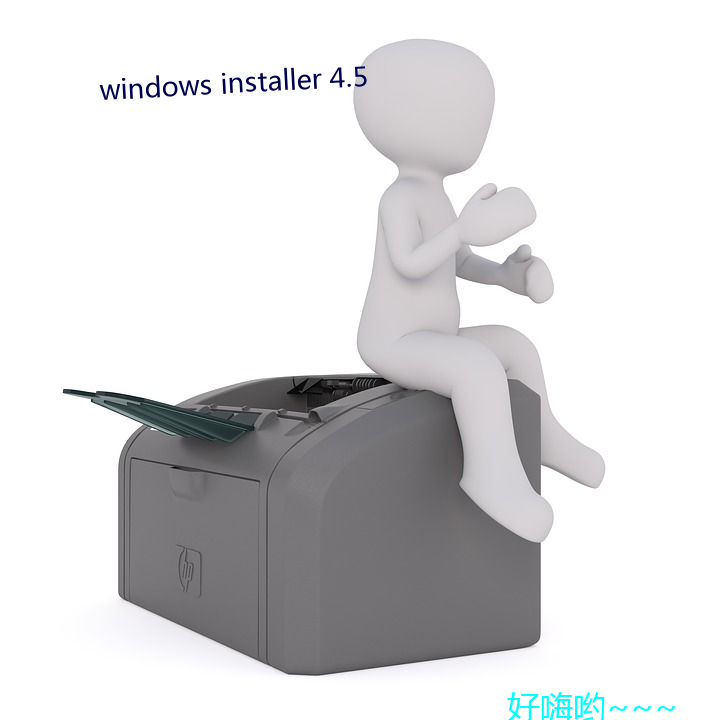 windows installer 4.5