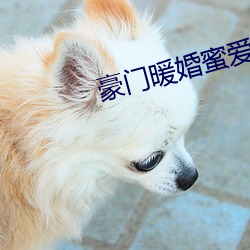 尊龙凯时-人生就是搏!