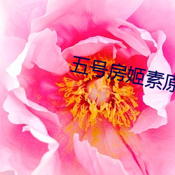五號房姬素原版視頻