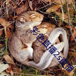 彩色直播2s直播