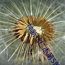 神斷狄仁傑第5部全集50集