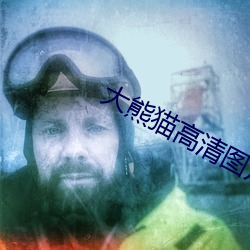 大熊猫高清图片 （镌骨铭心）