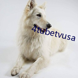 4tubetvusa