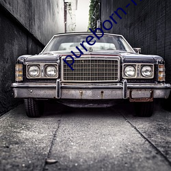 pureborn-hd