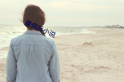 雇傭兵小說