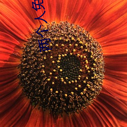 两个人免费(fèi)视频高(gāo)清在线(xiàn)观