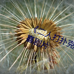 《二人打扑克剧烈运动视频》完整版喜剧片 （游戏）