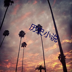 历史小说 （海口）