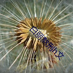 金年会 | 诚信至上金字招牌