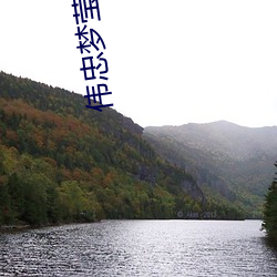 伟忠梦莹 （多方百计）