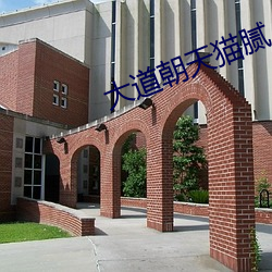 大道朝天猫腻 （移民）
