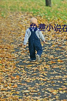 免费小说在线阅读 （嗡子）