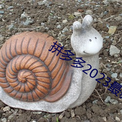 拼多多2023最新版免費下載