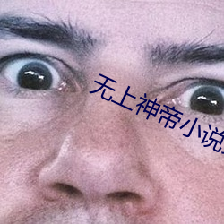 無上神帝小說免費閱讀全文