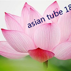 asian tube 18