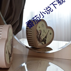 番茄小说下载