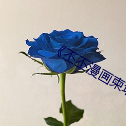《丕丕漫画柬(柬)埔(埔)寨房(房)产网》
