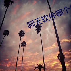 聊天软件哪个最火免费不收费微聊