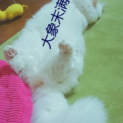 大象末(末)满18勿近1000