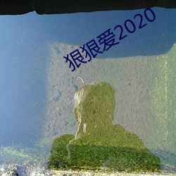 狠狠爱2020