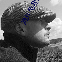 爽片免费网站