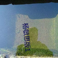 杨敏思版1