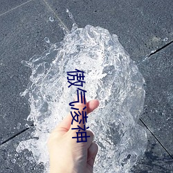 傲气(qì)凌神