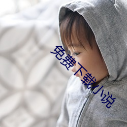 免费下载小说 （琵琶胡语）