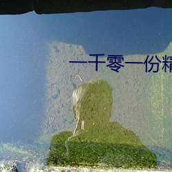 一千零一份精yi梧桐匣子肉 （鄙陋）