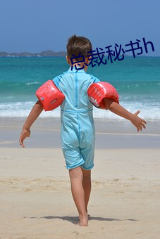 总裁秘书h （心荡神摇）